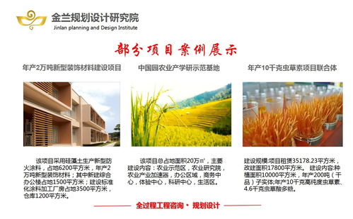 乳山旅游開發(fā)項(xiàng)目策劃咨詢 粉煤灰與煤矸石資源化利用的創(chuàng)新規(guī)劃